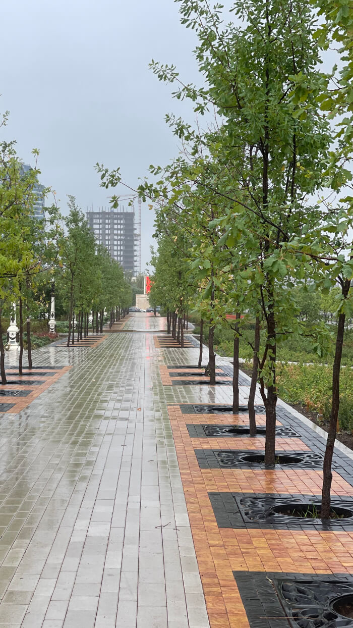 Приствольная решетка для дерева ZKING CRUST 1.2х1.2м Черная в Белореченске фото