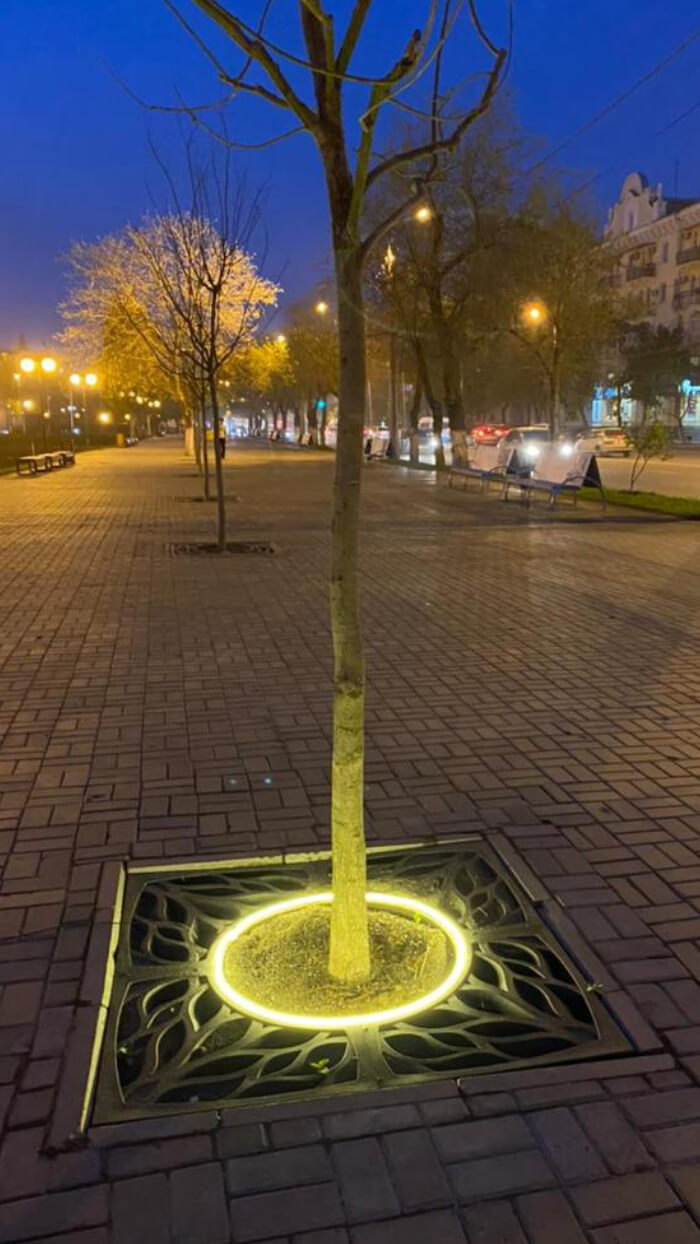 Приствольная решетка для дерева ZKING CRUST 1.2х1.2м Черная в Белореченске фото